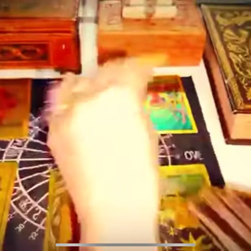 Imagem da campanha a premsio da cao