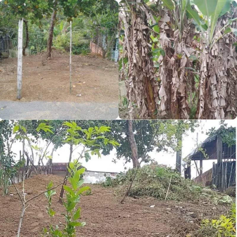 Imagem da campanha TERRENO