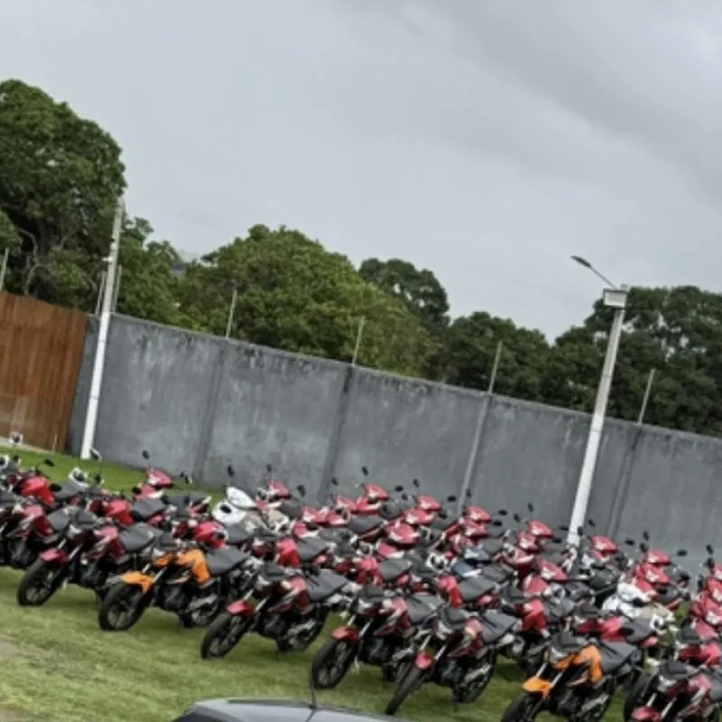 Imagem da campanha Polo