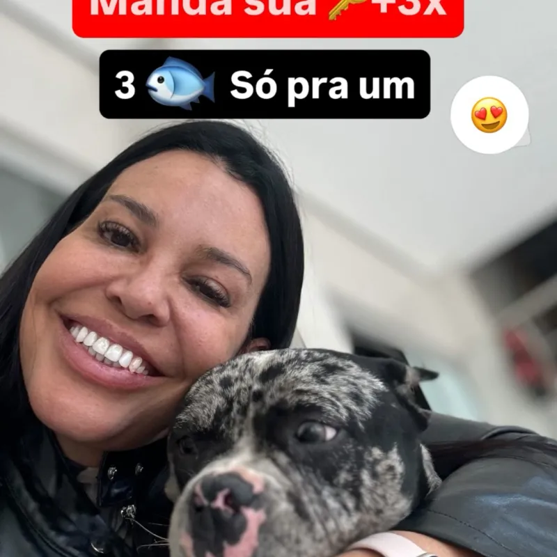 Imagem da campanha 500