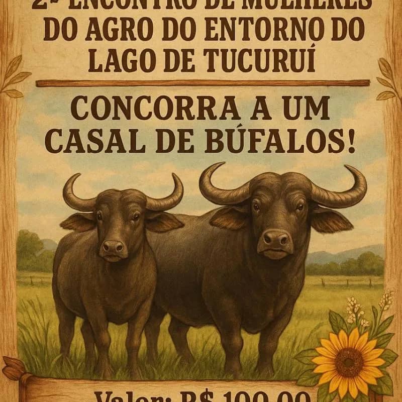 Imagem da campanha Rifa em prol do evento 2º Encontro de mulheres do Agro do Entorno do Lago de Tucurui