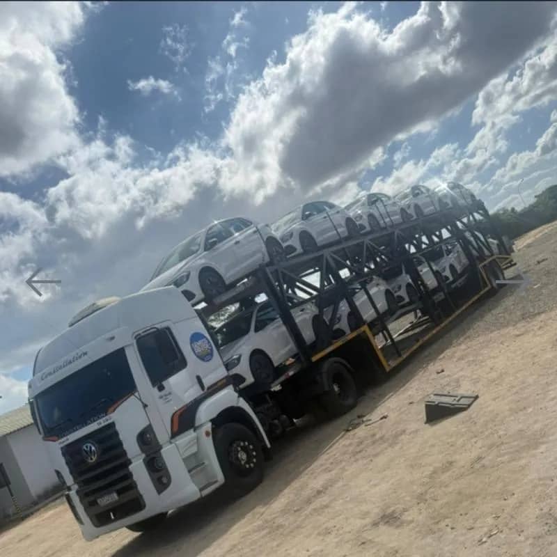 Imagem da campanha EDIÇÃO 190 - CEGONHA MILIONÁRIA