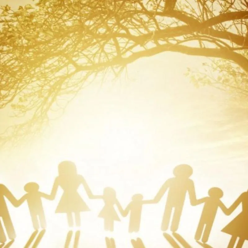 Imagem da campanha Em prol de LAVINIA KOTTWITZ