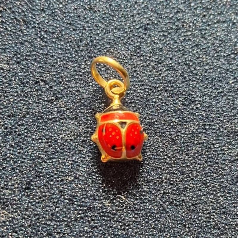 Imagem da campanha Ajudem a Fofa concorrendo a um pingente da felicidade/Joaninha