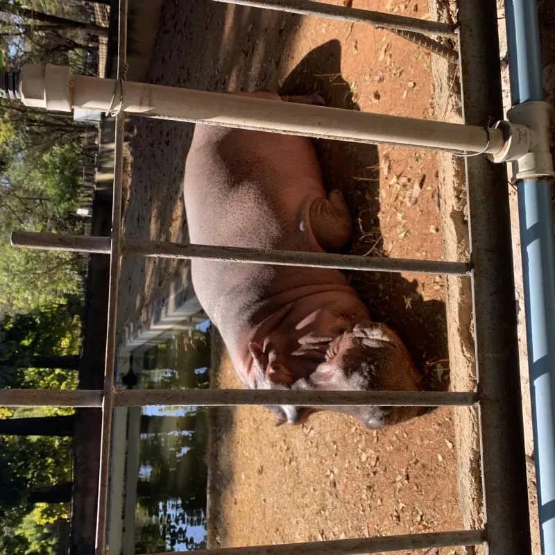 Imagem da campanha Teste