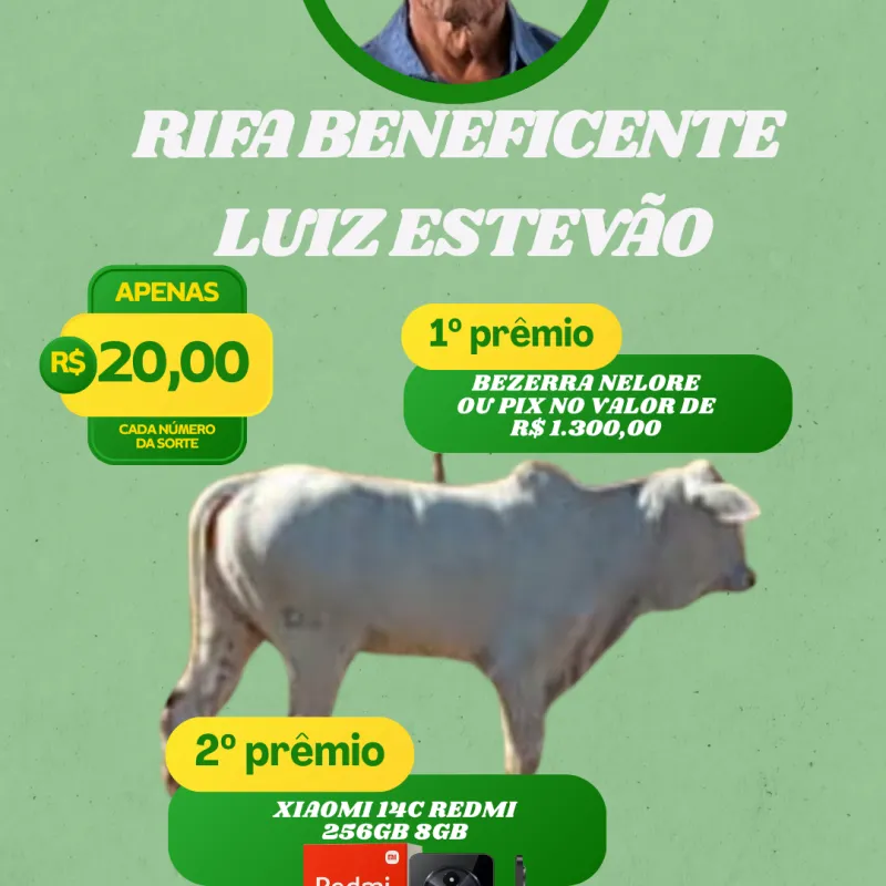 Imagem da campanha RIFA BENEFICENTE