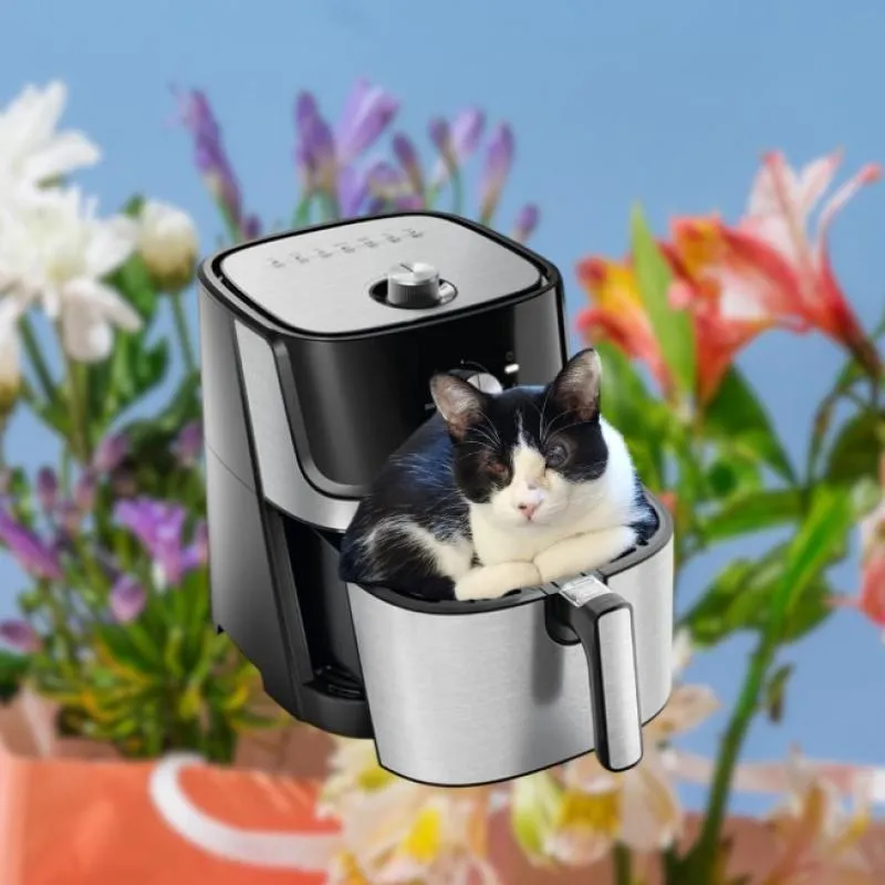 Imagem da campanha 🐱 Operação do Pitoquinho 🩺