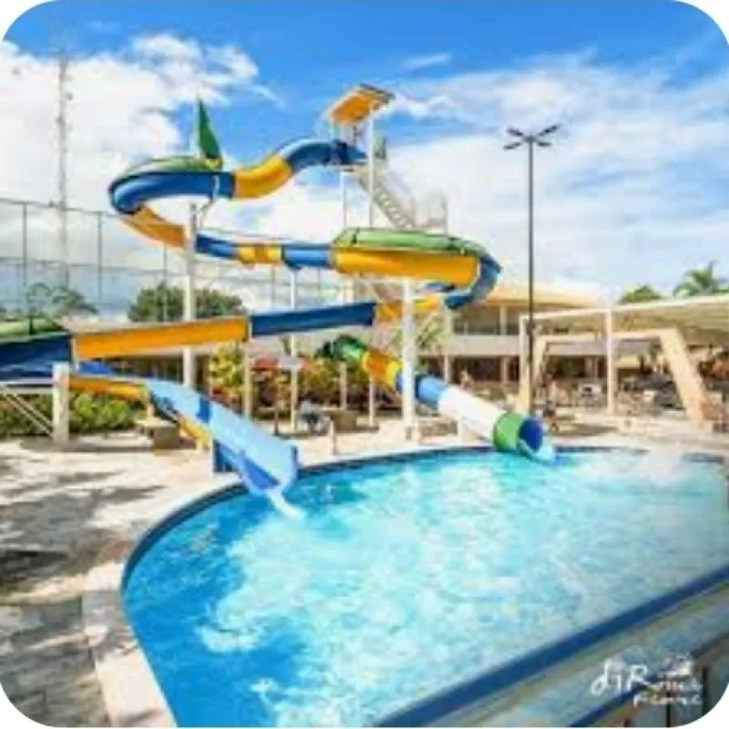 Imagem da campanha Ação Solidária Pelos e Afetos Felinos