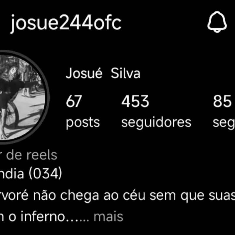 Imagem da campanha AJUDAR OS SEGUIDORES E CRESCER MEU PERFIL👑