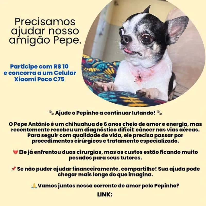 Imagem da campanha Ajude Pepe Antônio