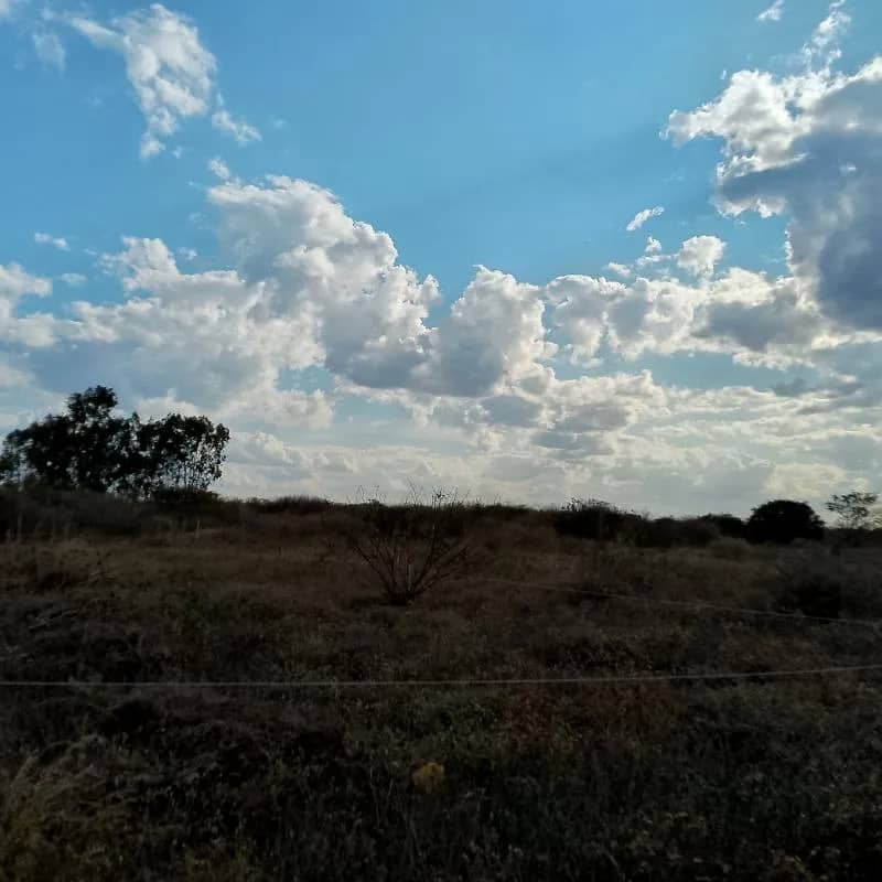 Imagem da campanha Terreno em Condeúba