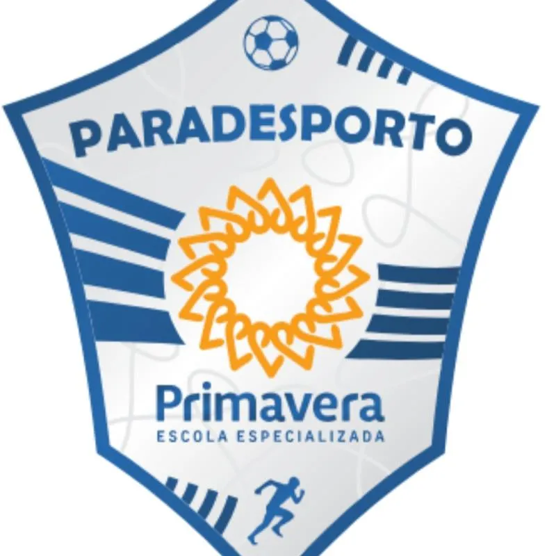 Imagem da campanha Rifa Solidária Paradesporto Primavera