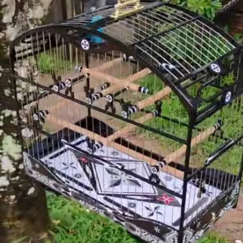 Imagem da campanha Gaiola Super Luxo