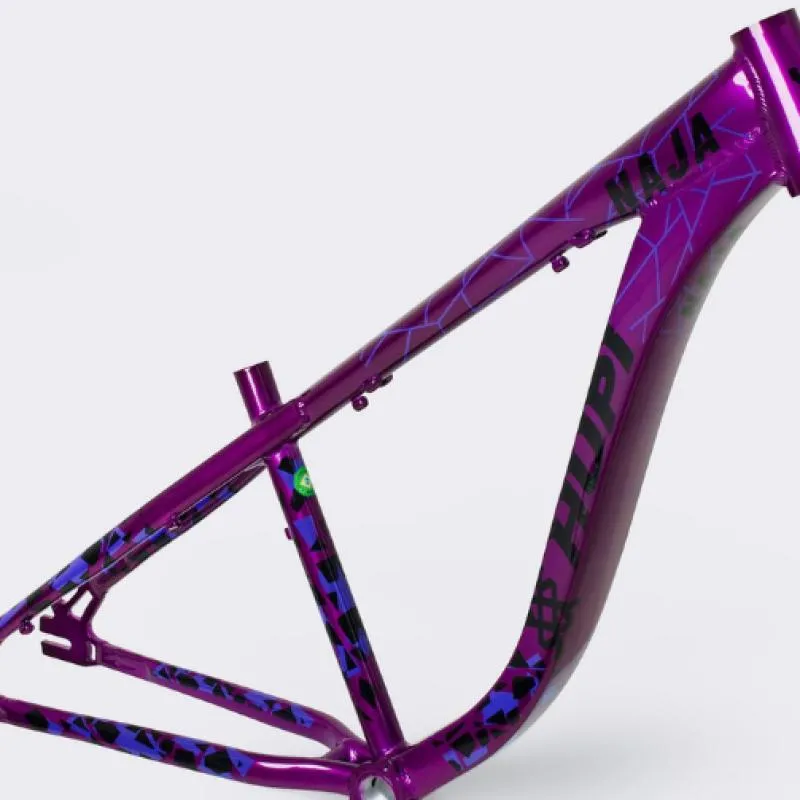 Imagem da campanha Quadro hupi 2025