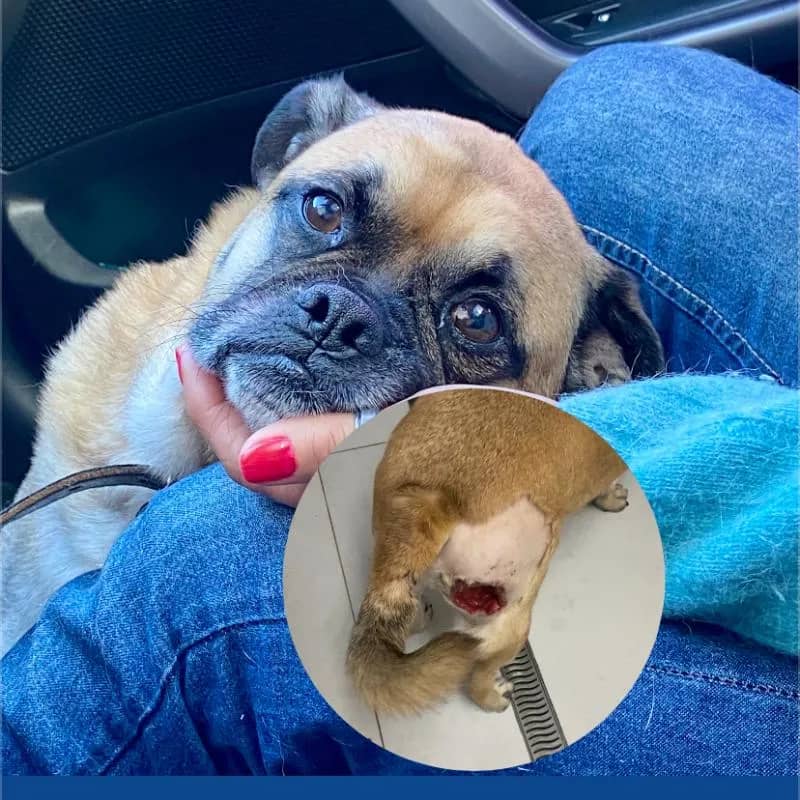 Imagem da campanha Rifa Solidária para ajudar o Frank