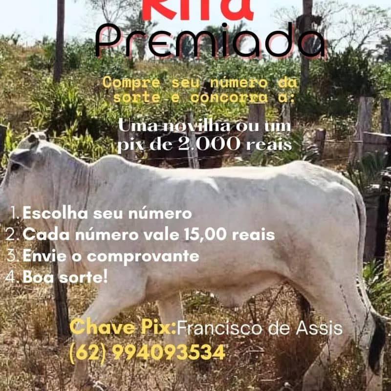 Imagem da campanha Rifa premiada