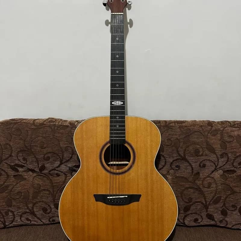 Imagem da campanha 🎶 Concorra a um Violão Strinberg aço e Apoie Meu Projeto Musical