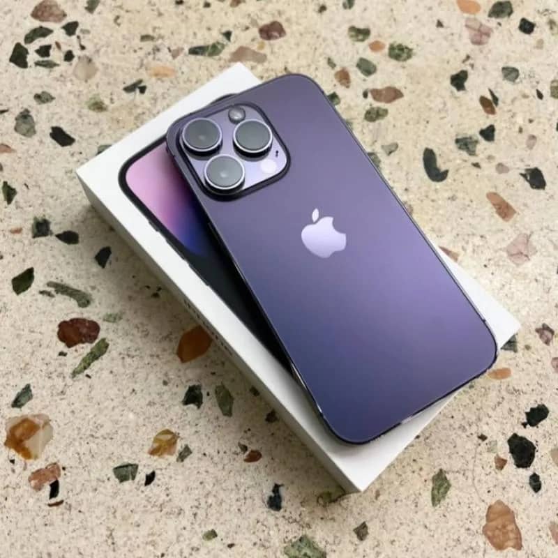 Imagem da campanha DEBORA Graciano