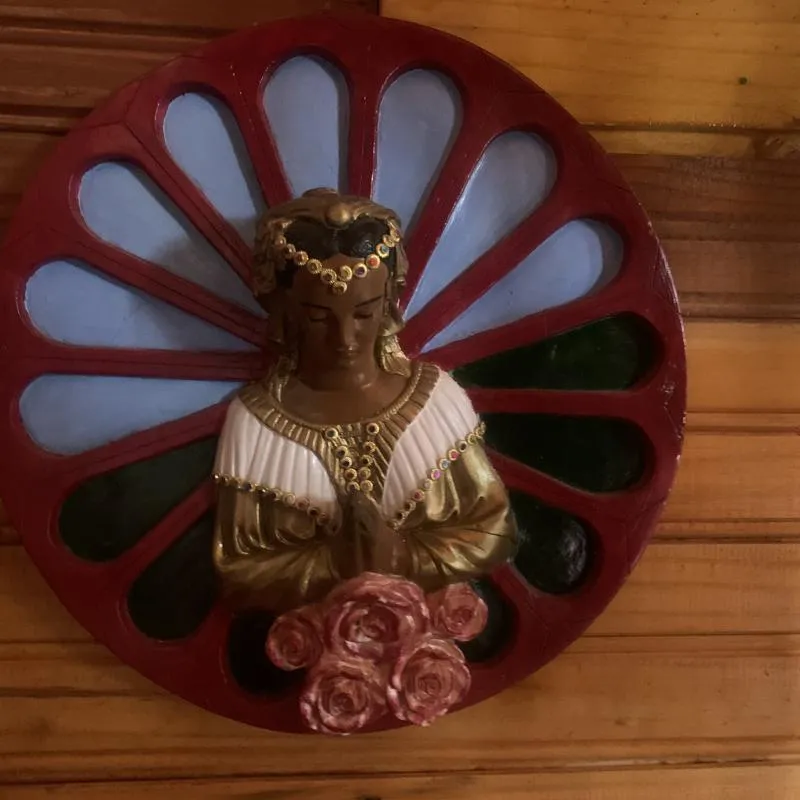 Imagem da campanha Caminhos de volta para Casa