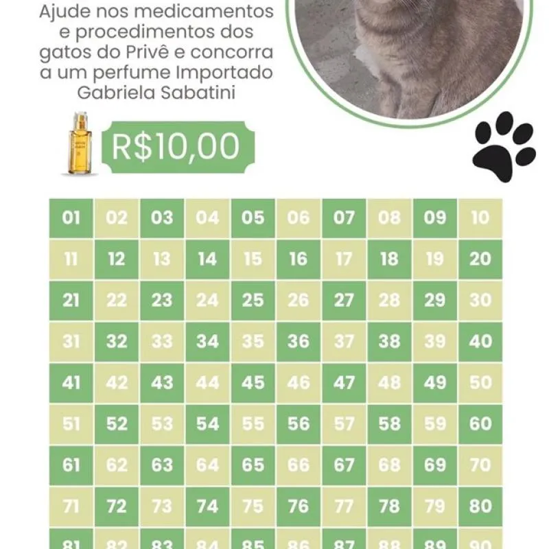 Imagem da campanha RIFA SOLIDÁRIA GATOS PRIVÊ