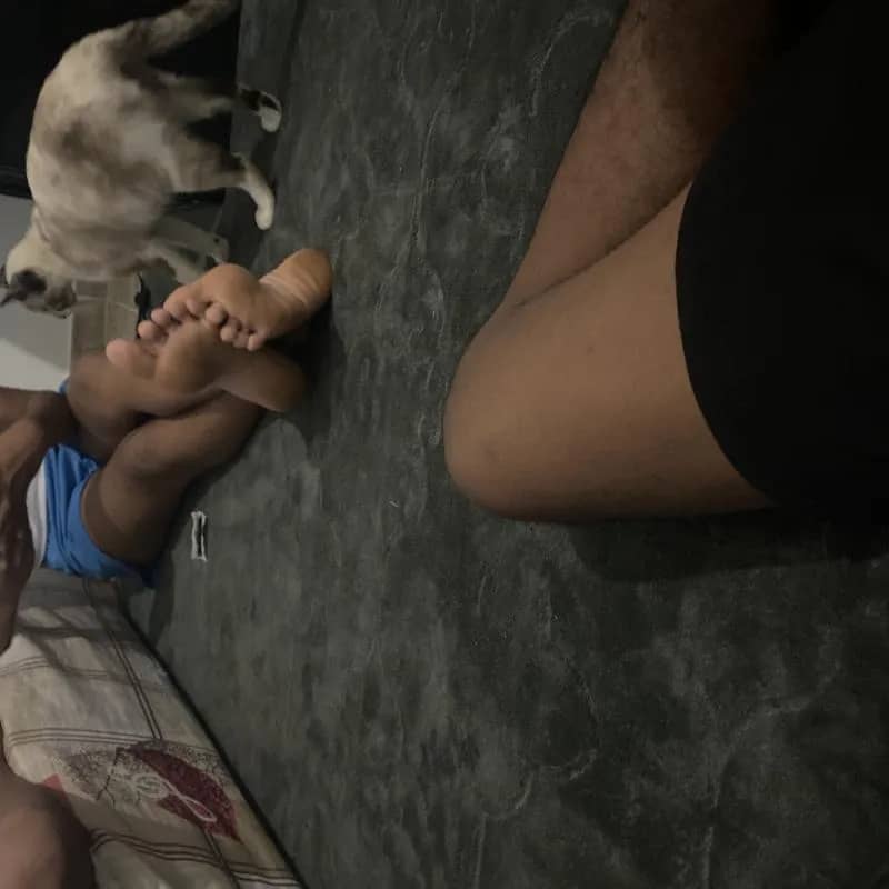 Imagem da campanha Doar cestas