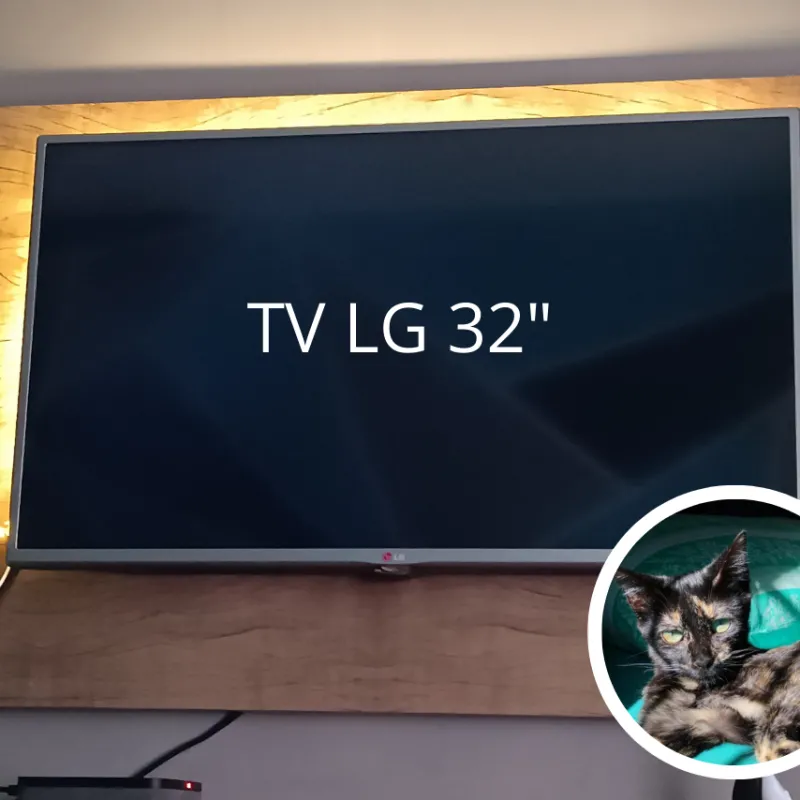 Imagem da campanha Castração + Biópsia da Panqueca