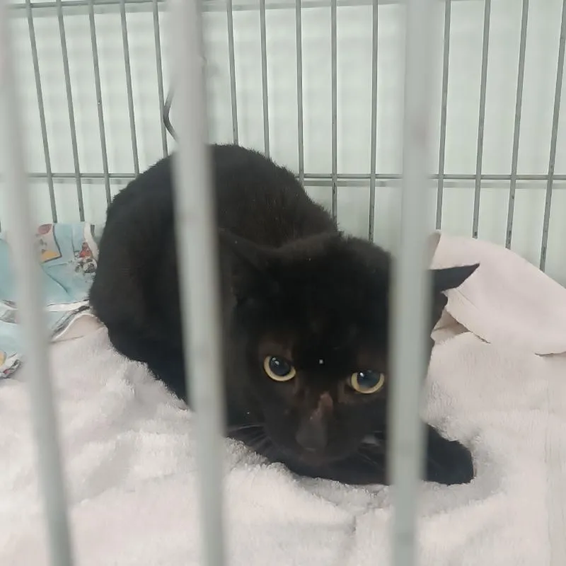 Imagem da campanha campanha teste