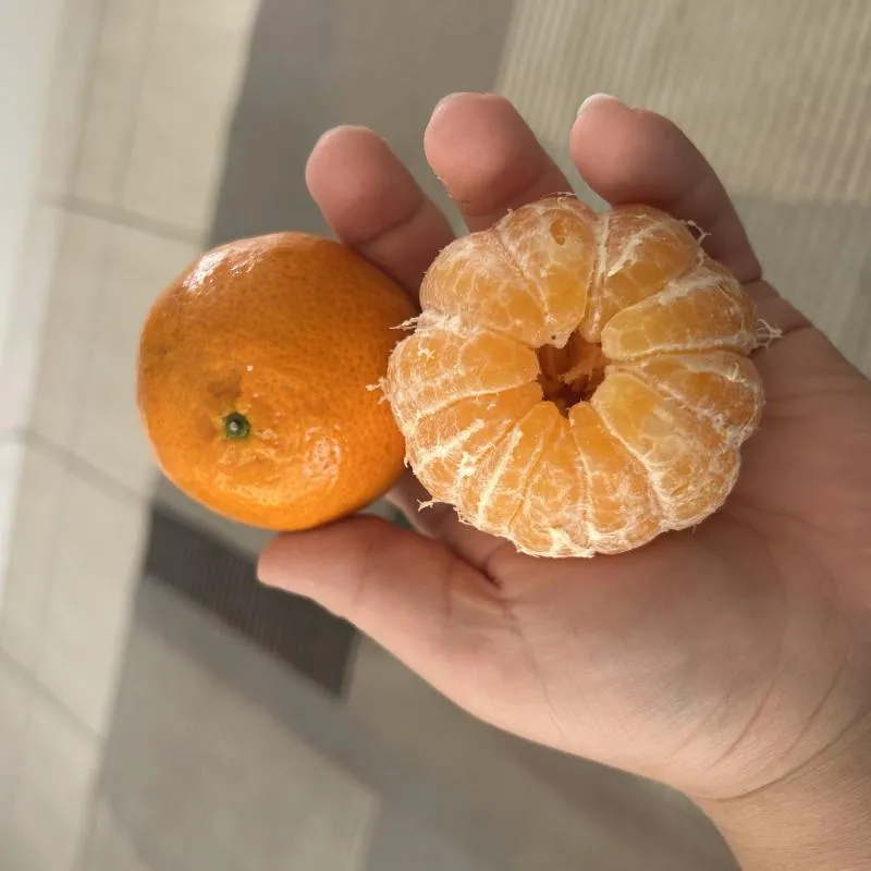 Imagem da campanha iPhone