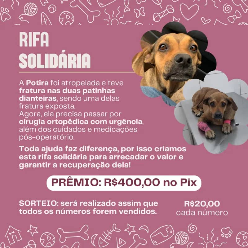 Imagem da campanha Rifa Solidária para cirurgia da Potira 🐾