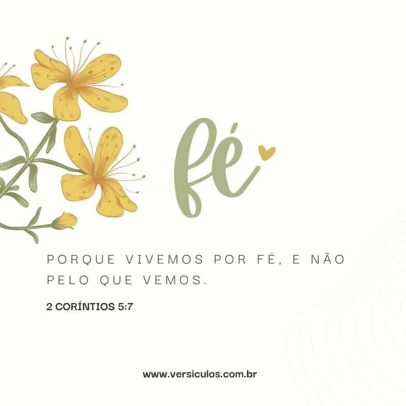 Imagem da campanha Me ajuda a ir pra missão