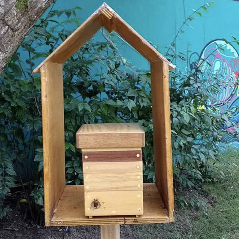 Imagem da campanha Rifa do 5º ano - Abelha Jataí