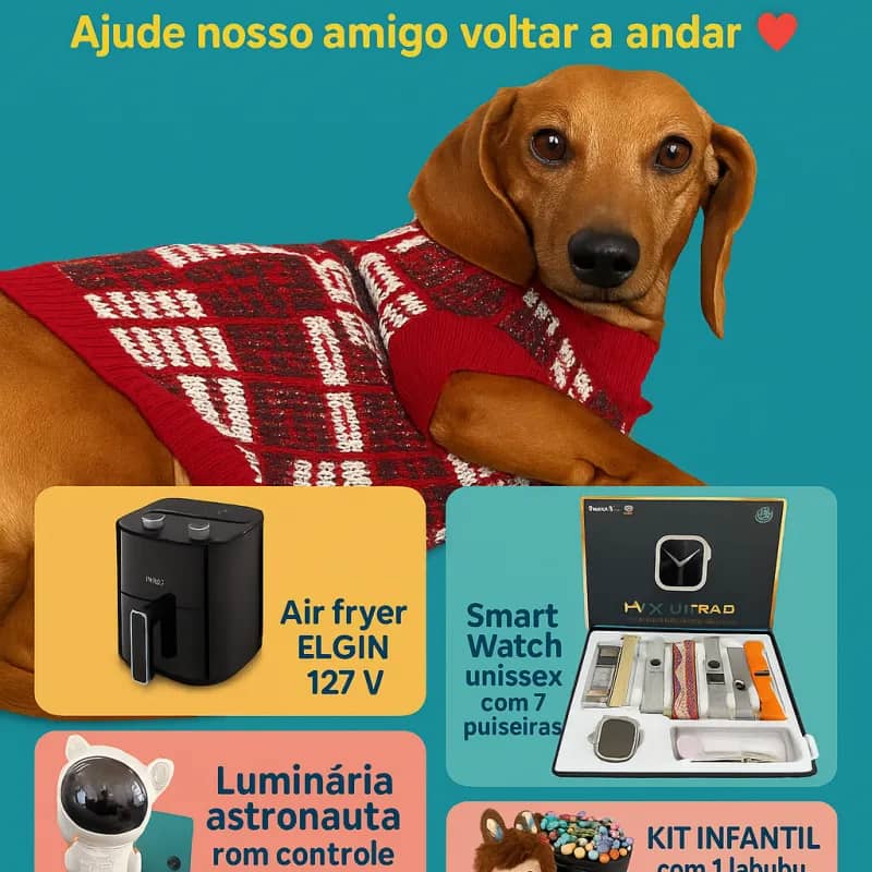 Imagem da campanha Ajude o Banzé voltar a andar ❤️