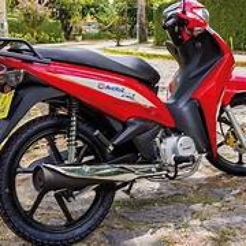 Imagem da campanha Avelloz