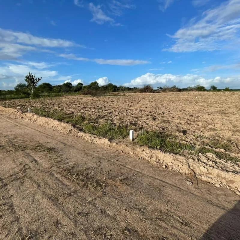 Imagem da campanha Terreno em Santanópolis