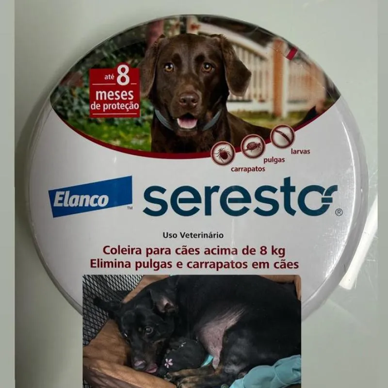 Imagem da campanha FRED PRECISA DE NÓS