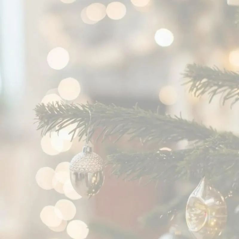 Imagem da campanha Rifa natal premiado