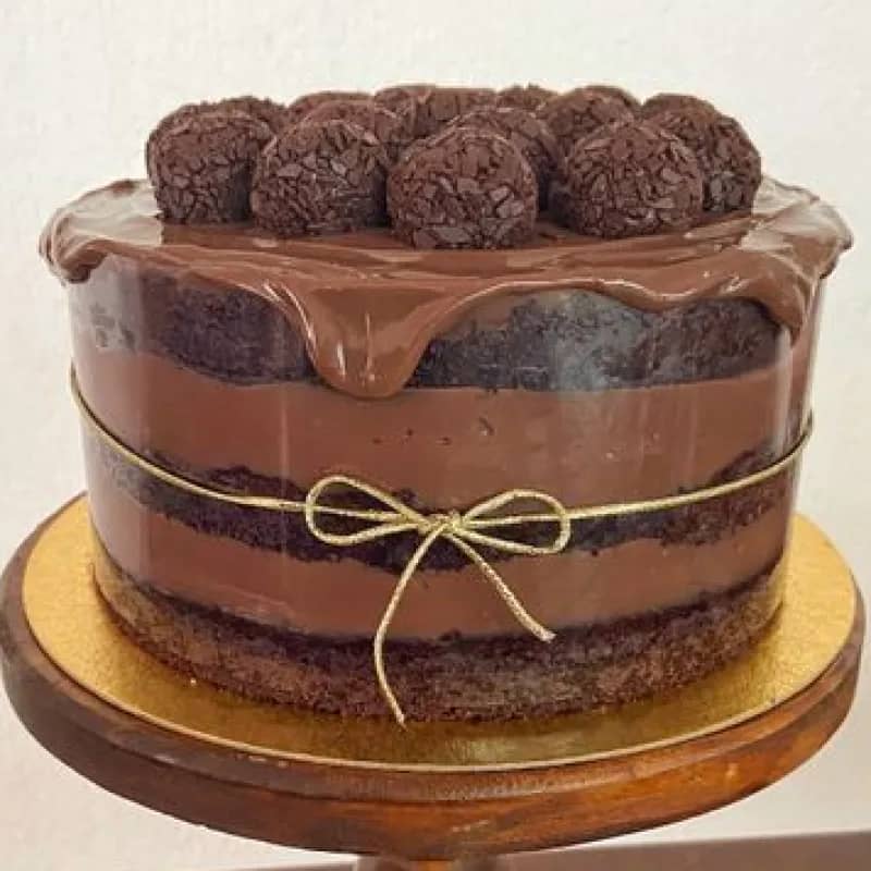 Imagem da campanha 🎉 Rifa Solidária – Ajude a Cindy! 🐶💕