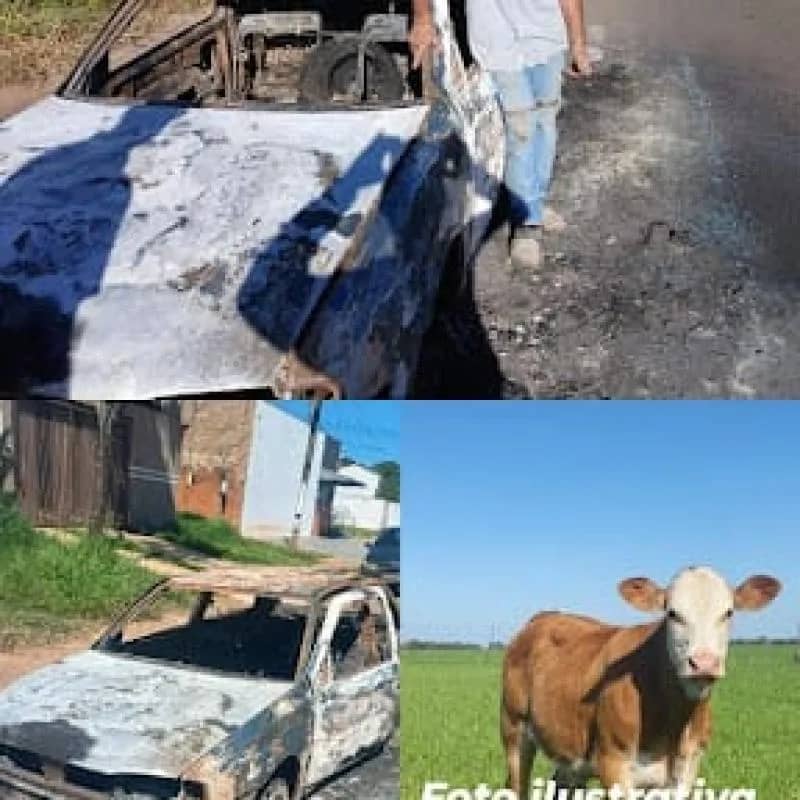 Imagem da campanha 🔹 Campanha Solidária: Rifa para Jurandir Antônio da Conceição – Prêmio Especial: Uma Bezerra