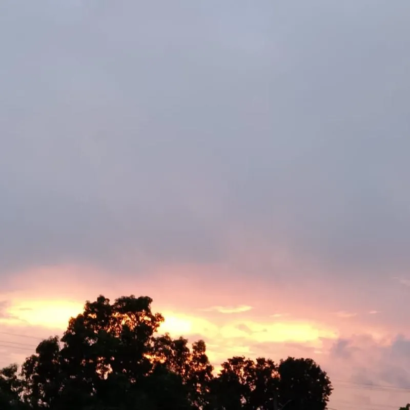 Imagem da campanha Raelle barbosa da Silva