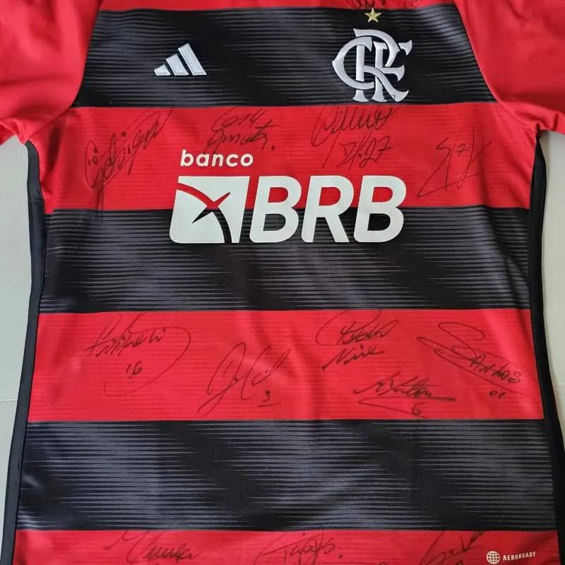 Imagem da campanha apaixonados pelo mengão