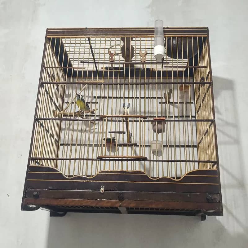 Imagem da campanha 3° edição , 1° sebite 2° sebite 3° R$200,00