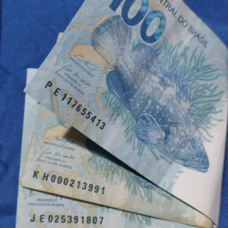 Imagem da campanha Dindin na mão