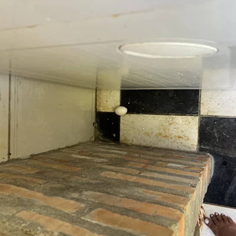 Imagem da campanha portadoceu