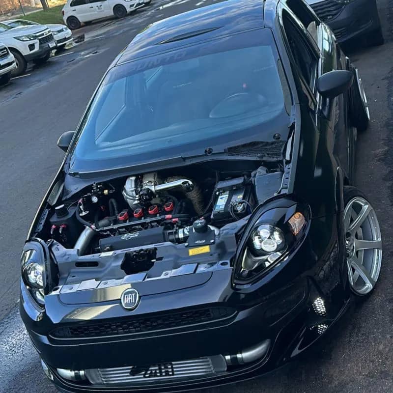 Imagem da campanha Punto Proo