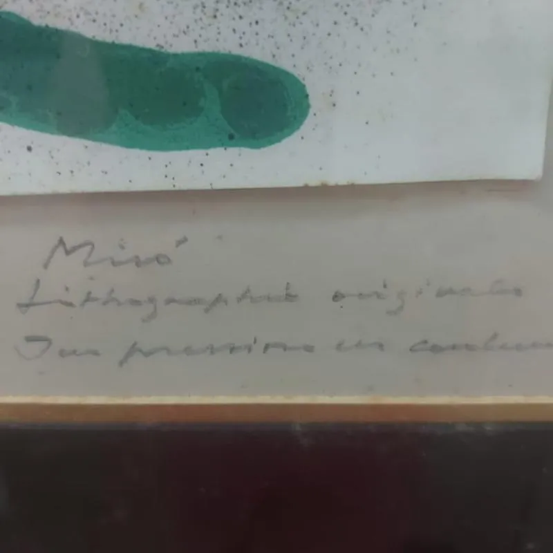 Imagem da campanha Rifa viagem Estados Unidos