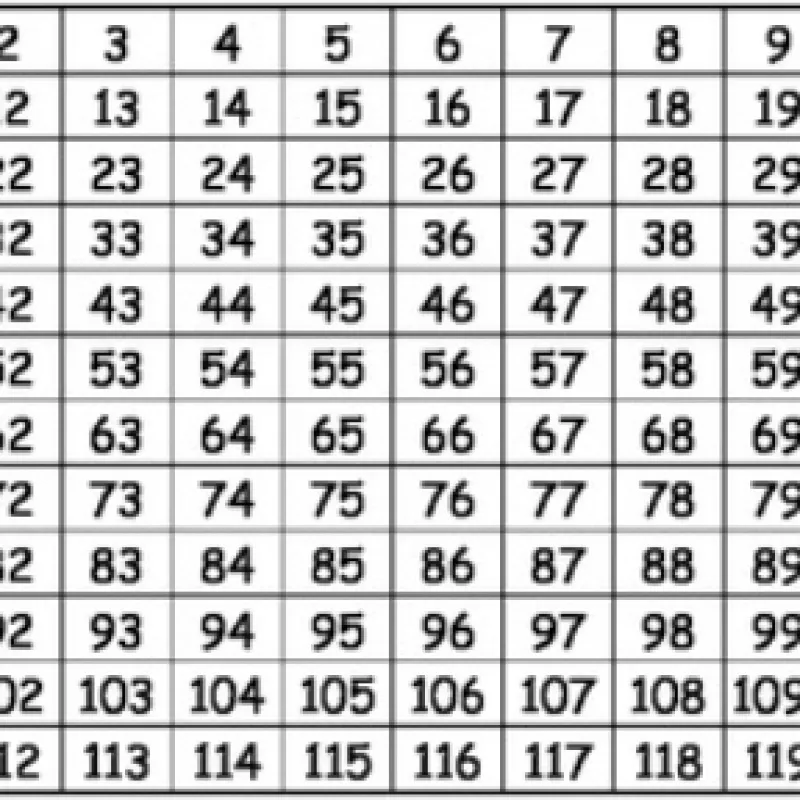 Imagem da campanha rifa jiu jitsu