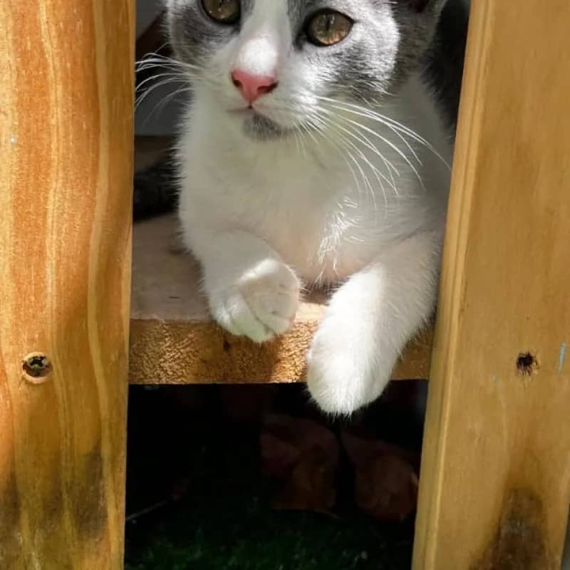 Imagem da campanha 81995954222