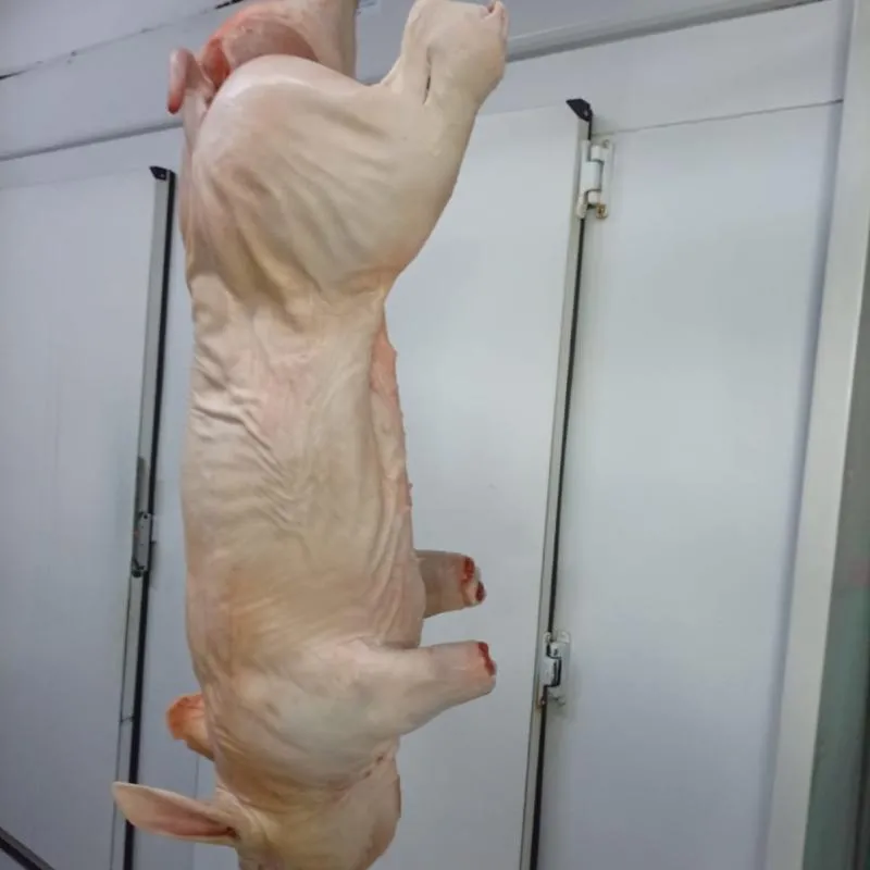 Imagem da campanha Dom 29