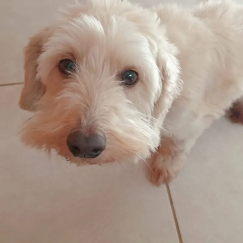 Imagem da campanha Exame da amora