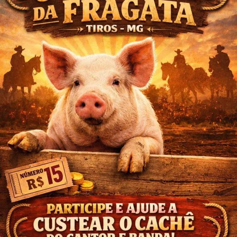 Imagem da campanha Campanha para pagar os cantores da festa